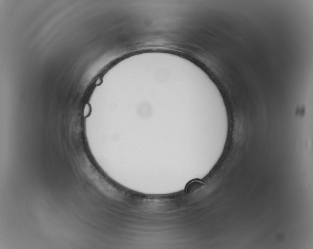 X0000111521458200908111151