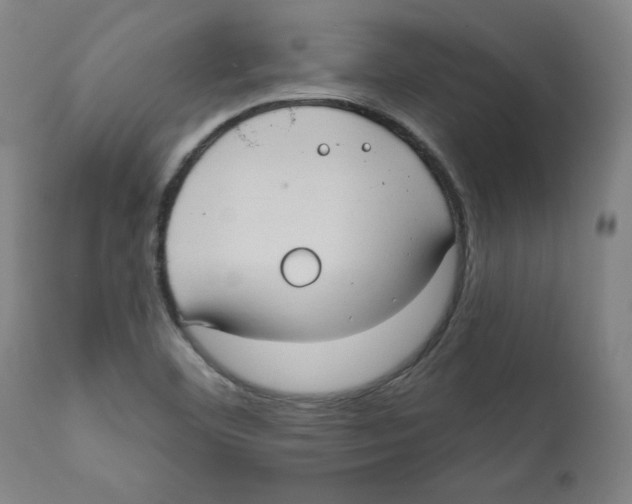 X0000111521460200908111151