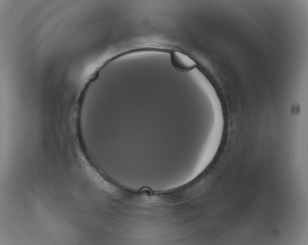 X0000111521463200908111151