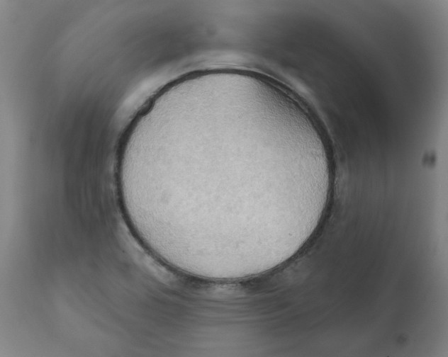 X0000111521464200908111151
