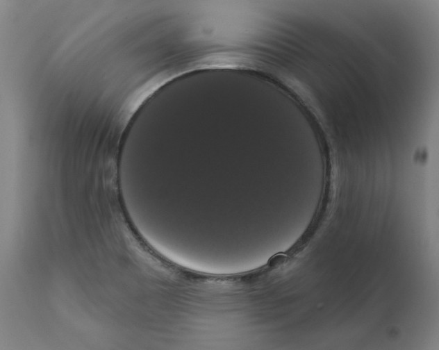 X0000111521465200908111151