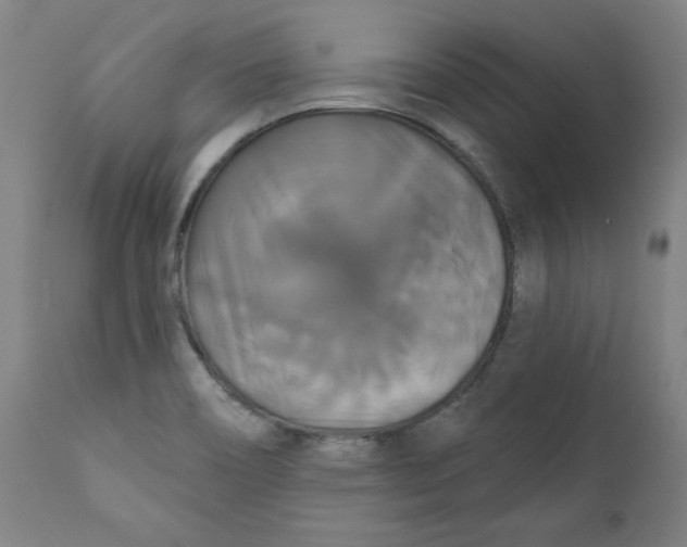 X0000111521466200908111151
