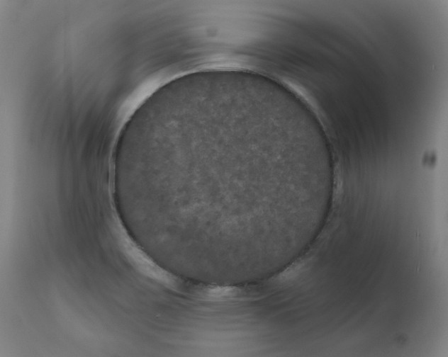 X0000111521467200908111151