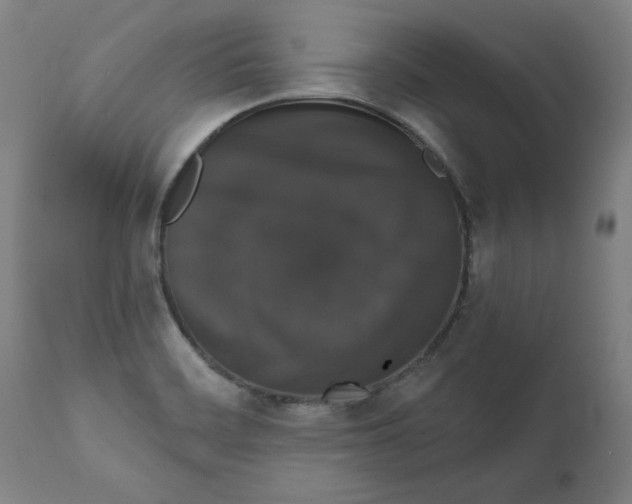 X0000111521468200908111151
