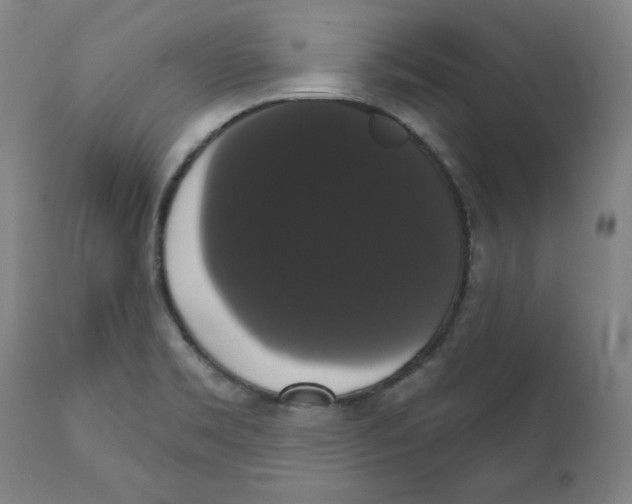X0000111521469200908111151