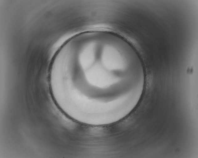 X0000111521470200908111151