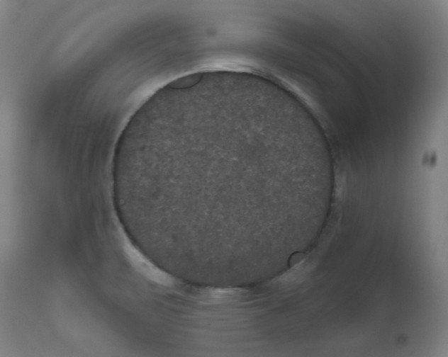X0000111521471200908111151