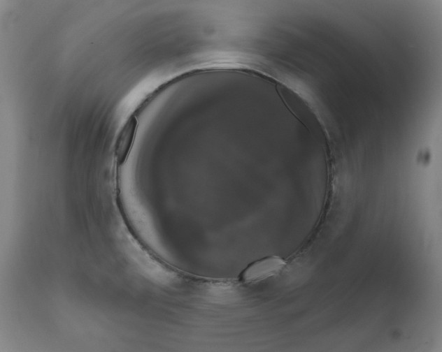 X0000111521472200908111151