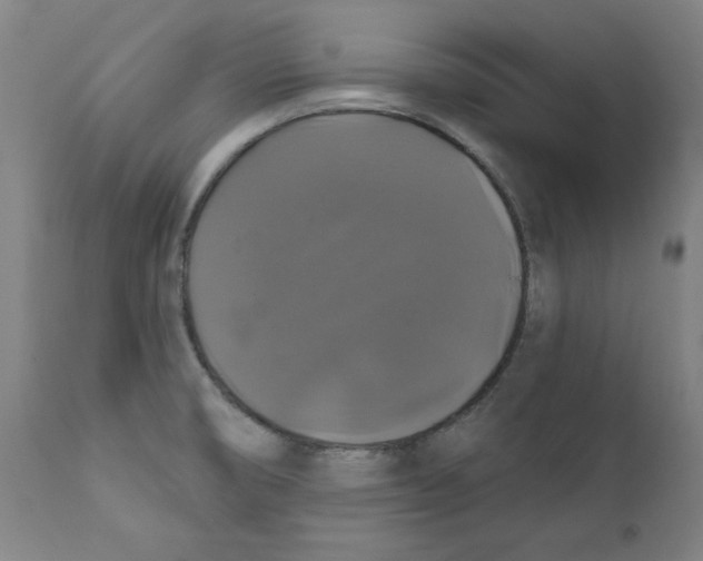 X0000111521474200908111151
