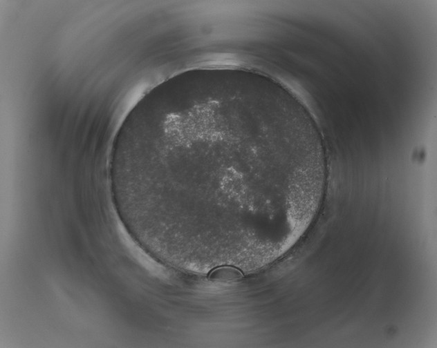 X0000111521475200908111151