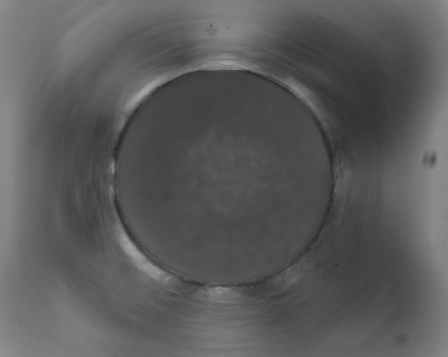 X0000111521476200908111151