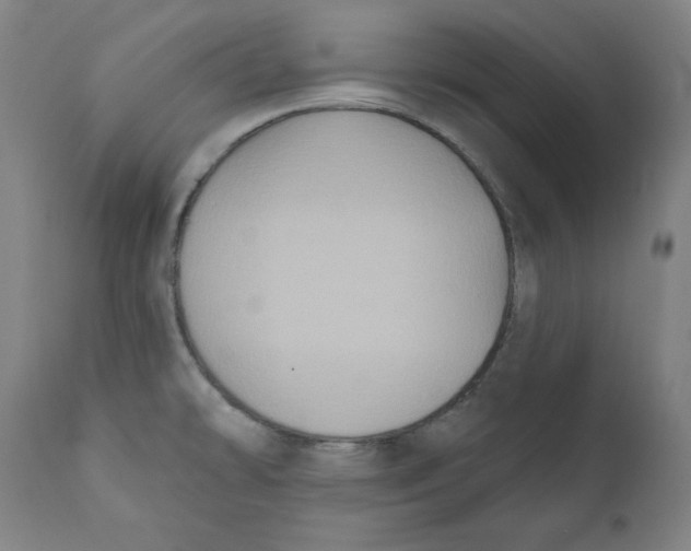 X0000111521478200908111151