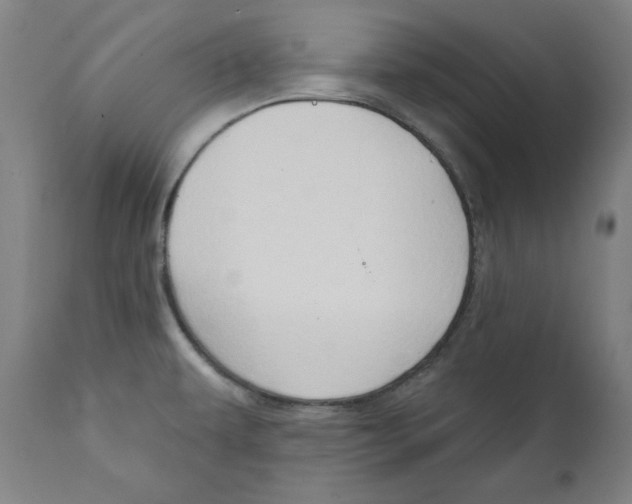 X0000111521479200908111151