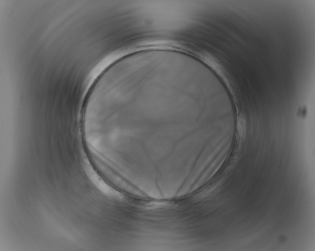 X0000111521482200908111151