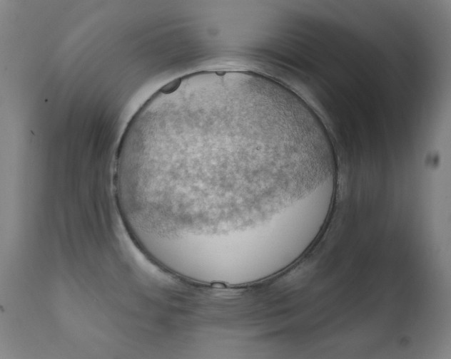 X0000111521484200908111151