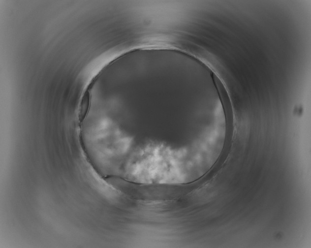 X0000111521485200908111151