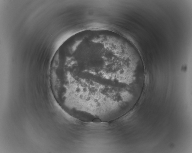 X0000111521487200908111151