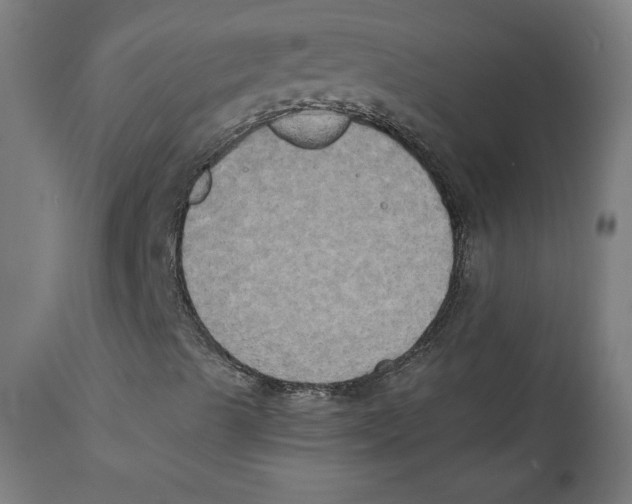 X0000111521489200908111150