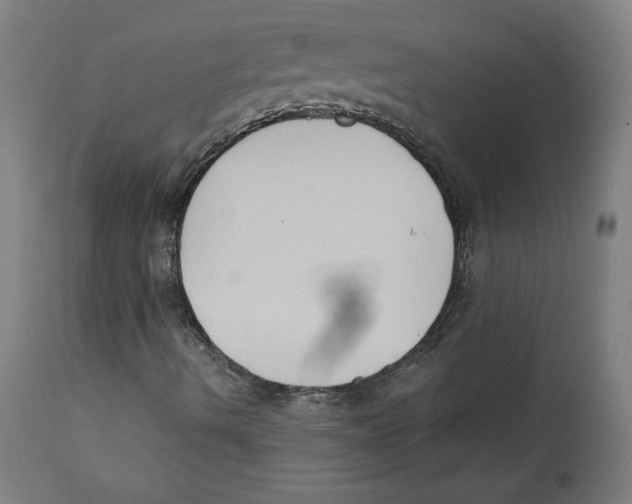 X0000111521490200908111150