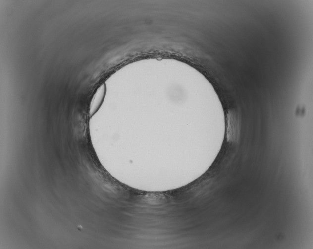 X0000111521491200908111150