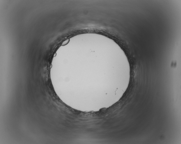 X0000111521493200908111150