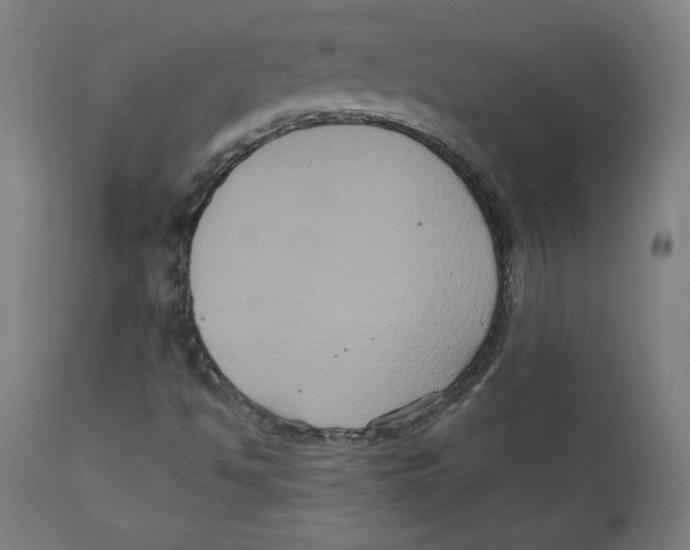 X0000111521494200908111150