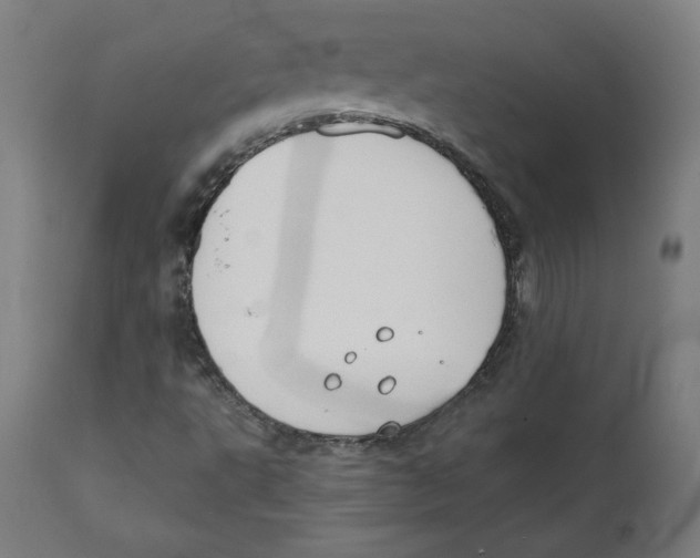 X0000111521495200908111150