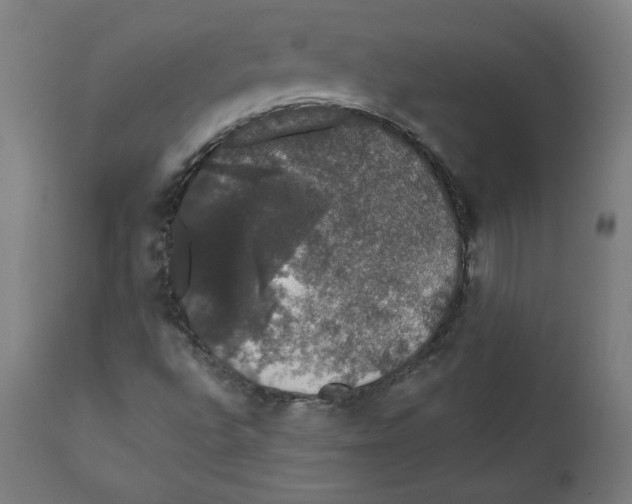 X0000111521496200908111150