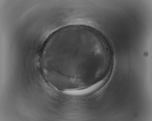 X0000111521497200908111150
