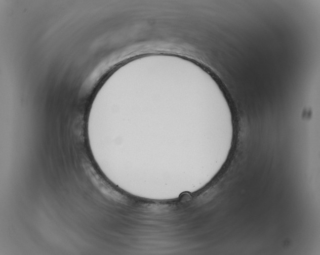 X0000111521499200908111150