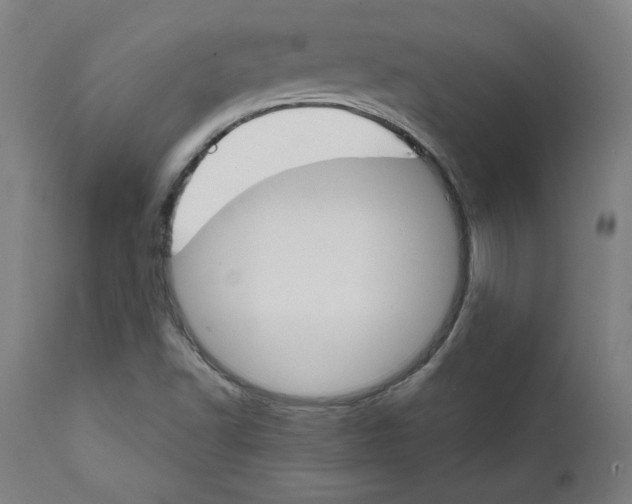 X0000111521502200908111150