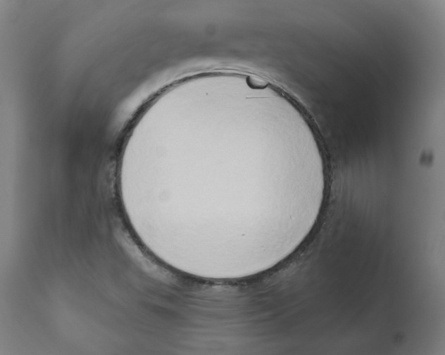 X0000111521503200908111150