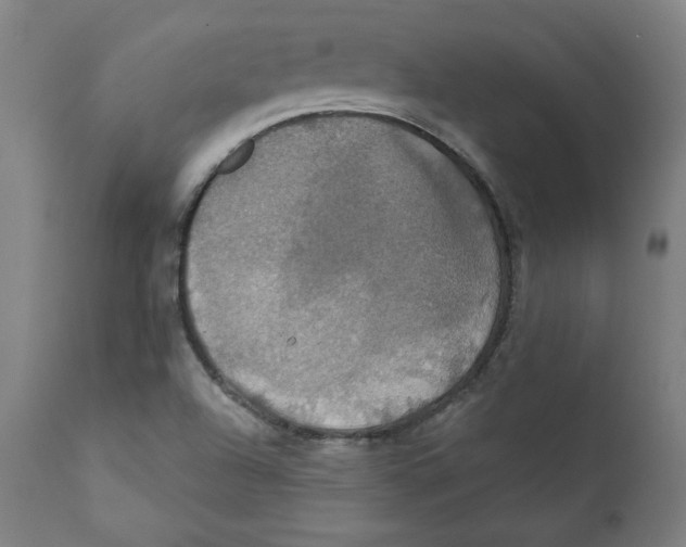 X0000111521504200908111150