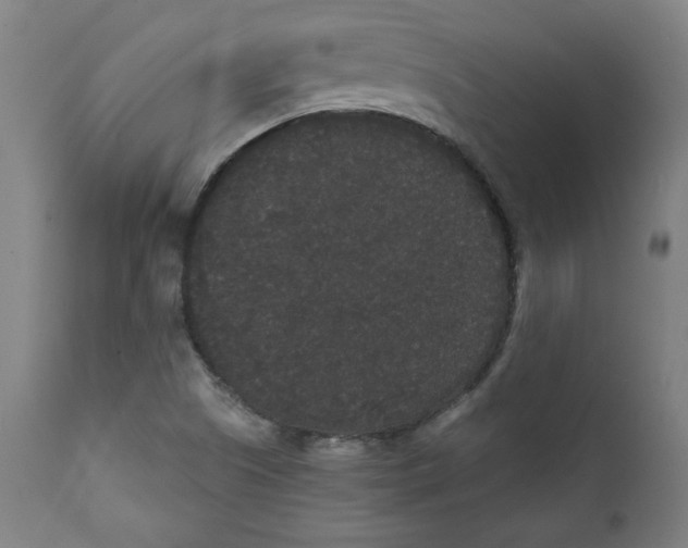 X0000111521505200908111150