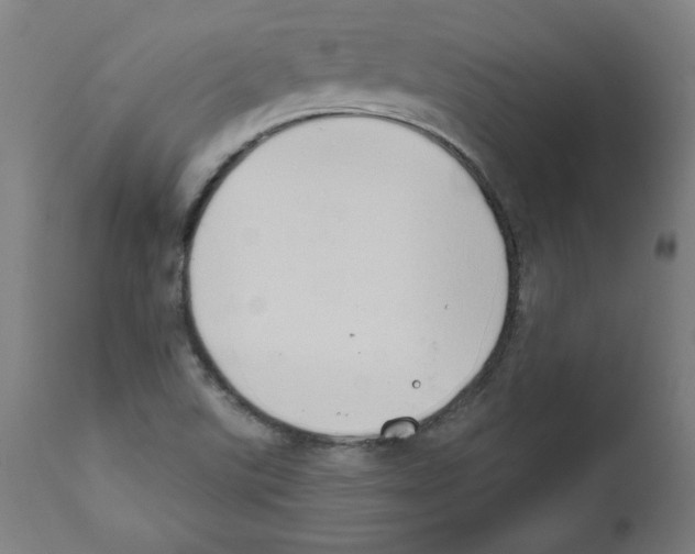 X0000111521507200908111150