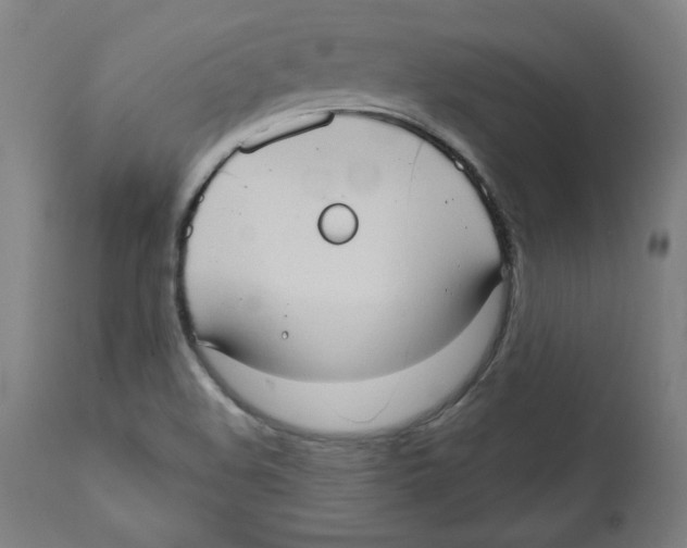 X0000111521508200908111150