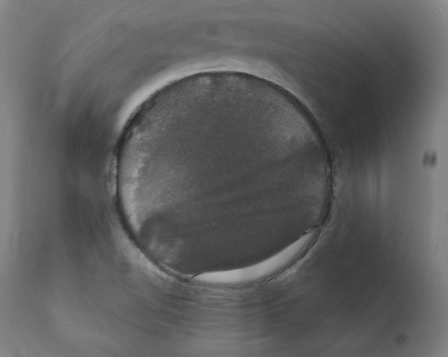 X0000111521510200908111150