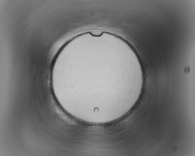 X0000111521511200908111150