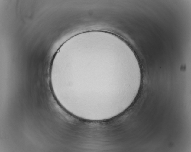 X0000111521512200908111150