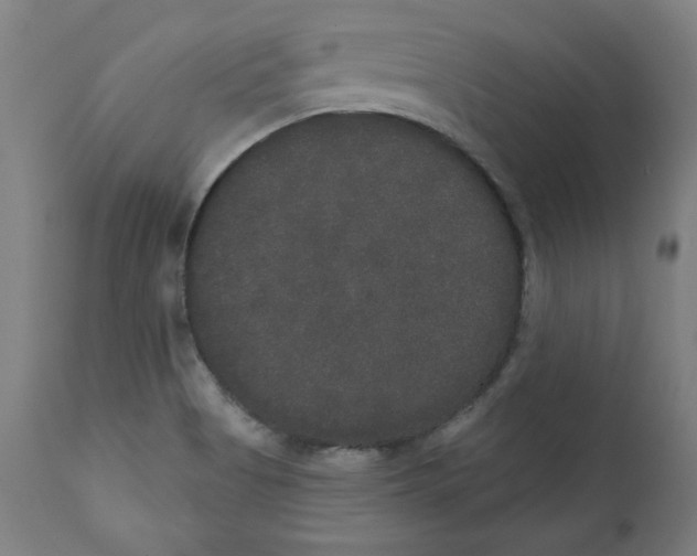 X0000111521513200908111150