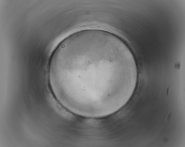 X0000111521514200908111150