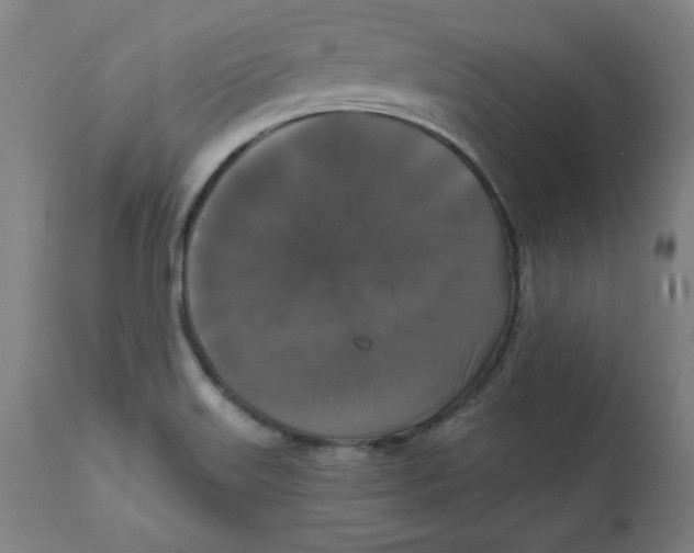 X0000111521515200908111150