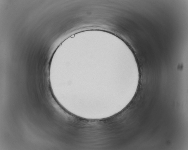 X0000111521516200908111150