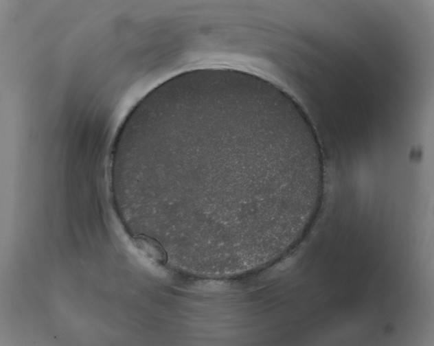 X0000111521517200908111150