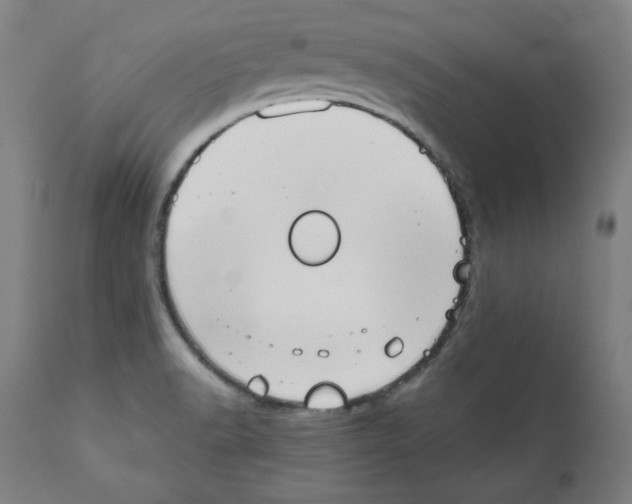 X0000111521518200908111150