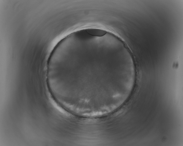 X0000111521519200908111150