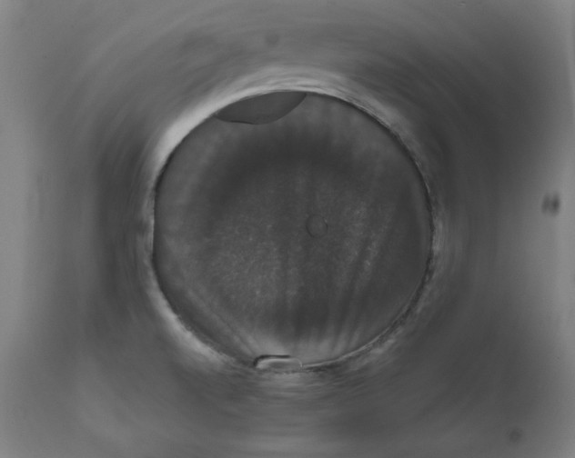X0000111521520200908111150