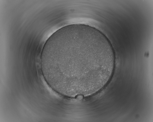 X0000111521521200908111150