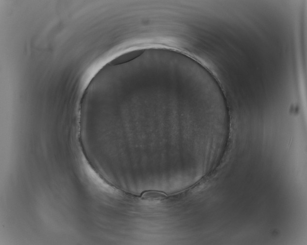 X0000111521524200908111150
