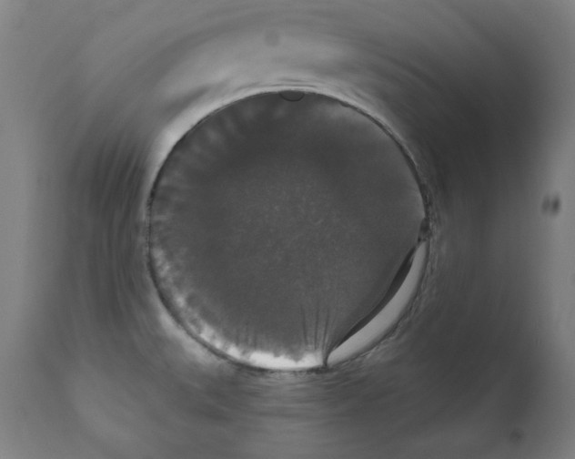 X0000111521527200908111150